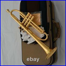 Professional Brushed Gold plated Trumpet Monel Valve Germany brass Bb Keys