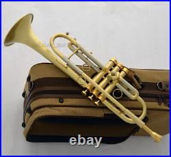 Professional Brushed Trumpet Horn 0.459'' Bore With Case