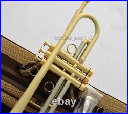 Professional Brushed Trumpet Horn 0.459'' Bore With Case