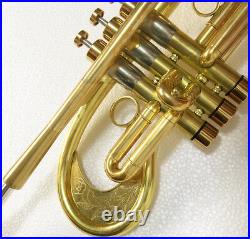 Professional Customized Trumpet Flumpet original brass Finish Large Bell WithCase