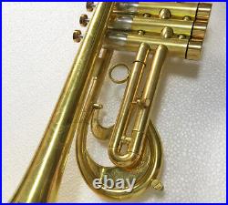 Professional Customized Trumpet Flumpet original brass Finish Large Bell WithCase