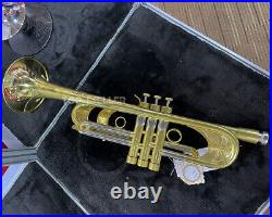 Professional Double inlet pipe Bare Brass Trumpet Unlacquered Horn With Case