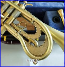 Professional Flumpet C Trumpet customized Matt Gold Horn High Grade Case