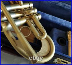 Professional Flumpet C Trumpet customized Matt Gold Horn High Grade Case