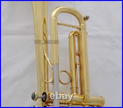 Professional Gold Reverse Leadpipe Trumpet Horn Monel Valve Abalone Key New Case