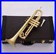 Professional Matt Brushed Bb Trumpet Horn Monel 2-Mouthpiece Leather Case