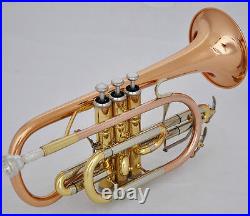 Professional Rose Brass Cornet horn B-flat NEW Double triggers Trumpet With Case