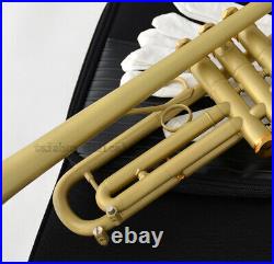 Professional Satin Lacquer Bb Trumpet Reverse Leadpipe With Case