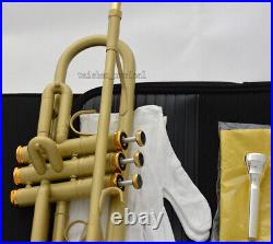 Professional Satin Lacquer Bb Trumpet Reverse Leadpipe With Case