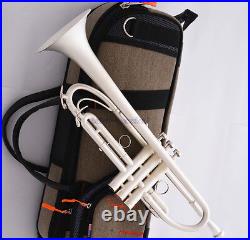 Professional Satin Silver Trumpet Horn With Monel Valves Piston Pro. Case