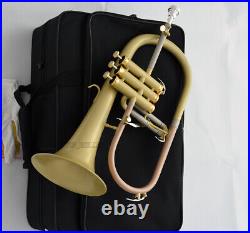 Professional Satin finish Bb Flugelhorn NEW FLUGEL Horn With Case