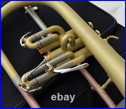 Professional Satin finish Bb Flugelhorn NEW FLUGEL Horn With Case