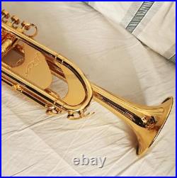 Professional Shiniest Gold Plated Trumpet Heavy Horn Monel Valve with Case