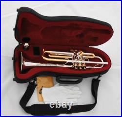 Professional Silver Gold Bb Trumpet Horn Monel Valves With Hard Case Free ship