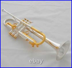 Professional Silver Gold Bb Trumpet Horn Monel Valves With Hard Case Free ship