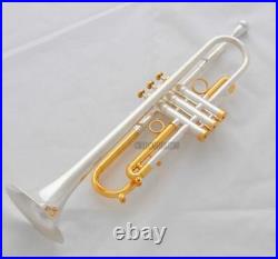 Professional Silver Gold Bb Trumpet Horn Monel Valves With Hard Case Free ship