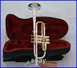 Professional Silver Gold Plated C Trumpet Horn Monel Valve Spain Design WithCase