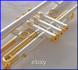 Professional Silver Gold Plated Trumpet B-Flat horn With Monel valves Hard Case