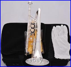 Professional Silver Plated Double Trigger Cornet Horn B-Flat Monel Valve WithCase