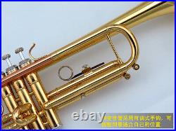 Professional trumpet Bb perfect color high quality +case