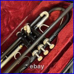 Rbythyn Black Silver Trumpet Bb Horn With Monel Valve Full Hand Engraving Bell