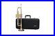 Rosebrass material Wisemann DTR-400 Trumpet, Bb, withcase and mouthpiece