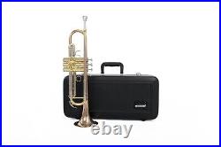 Rosebrass material Wisemann DTR-400 Trumpet, Bb, withcase and mouthpiece