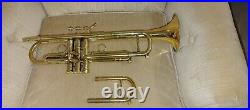 STOMVI REEVES CAMBRASS V-RAPTOR Bb Professional Trumpet (RARE!) no case, no mp