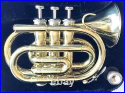 STUNNING HAWK Bb POCKET TRUMPET HIGH LACQUER BRASS WITH MOUTHPIECE & CANVAS CASE