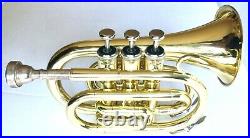 STUNNING HAWK Bb POCKET TRUMPET HIGH LACQUER BRASS WITH MOUTHPIECE & CANVAS CASE