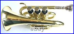 STUNNING HAWK Bb POCKET TRUMPET HIGH LACQUER BRASS WITH MOUTHPIECE & CANVAS CASE