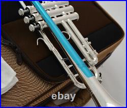 Taishan Brand Professional Silver Plated Trumpet Horn Monel Piston With Case