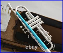 Taishan Brand Professional Silver Plated Trumpet Horn Monel Piston With Case