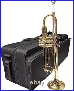 Trumpet Herche Superior Bb Trumpet M1 Professional Instruments for all levels