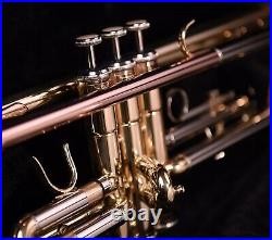 Trumpet Herche Superior Bb Trumpet M1 Professional Instruments for all levels