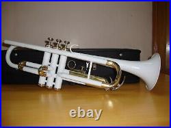 Trumpet NEW White Brass FINISHED BB KEYS TRUMPET FREE HARD CASE