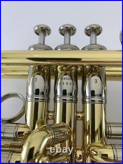 Trumpet YAMAHA YTR-8335IIRKG-LN Kangakki Limited Edition XENO Bb Trumpet & Case