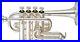 YAMAHA YTR-6810S Piccolo Trumpet Yellow Brass professional model withcase