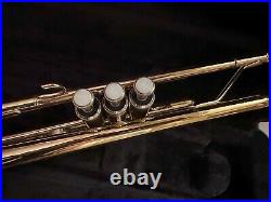 Yamaha YTR-200ADII Trumpet with Case Professionally Cleaned